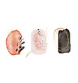 watercolor pink circle abstract texture vector image vector image