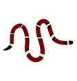 l t sinaloae - sinaloan milk snake - dorsal view vector image vector image
