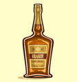bottle of brandy vector image