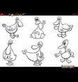cartoon ducks farm animal characters set coloring vector image