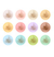 pearl set isolated on white background vector image
