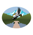 pelican bird flying over lake vector image vector image
