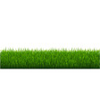 green grass white background vector image vector image