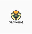 growing with sun and sprout on white background vector image