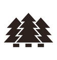fir forest coniferous tree icon vector image