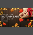 special offer autumn sale up to 50 off brown vector image