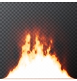 realistic fire flames on transparent grid vector image