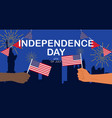 usa independence day banner vector image