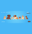group purebred dogs furry human friends home vector image vector image