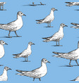 pattern walking seagulls vector image vector image