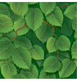 seamless pattern with green spring leaves of birch vector image