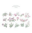wedding invitation floral set fuchsia rose vector image vector image