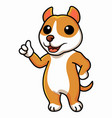 cute little pitbull cartoon giving thumb up vector image