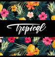 dark summer design with exotic palm leaves vector image