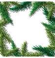 fir tree hand drawn frame for winter vector image