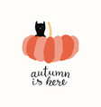 big pumpkin and little black cat vector image