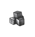 with charcoal cubes vector image