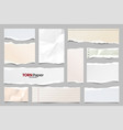 colored ripped lined paper strips collection vector image