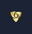 triangle circle shape abstract gold logo vector image vector image