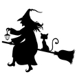 witch fly cat vector image