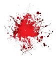 blood splat splat vector image vector image