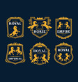 golden horse royal heraldry and business company vector image