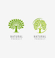 natural product logo tree symbol or label vector image