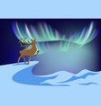 northern lights vector image