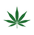 hemp vector image