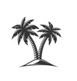 palm tree isolated on white background vector image