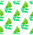 seamless pattern watercolor ferns vector image vector image