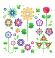 collection of flowers buds and leaves vector image