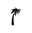 tropical palm trees black silhouettes and outline vector image vector image