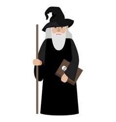 cartoon wizard vector image vector image