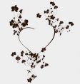 orchid heart vector image vector image