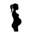 pregnant woman silhouette motherhood sign vector image