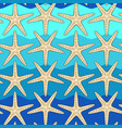 seamless color pattern with starfish vector image vector image