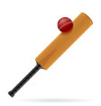 cricket bat and ball for a sports game stock vector image vector image