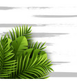 exotic jungle tropical palm leaves summer floral vector image