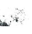 abstract grungy texture background in black vector image vector image