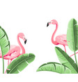 summer tropical frame exotic banana leaf design vector image