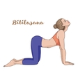 women silhouette cow yoga pose bitilasana vector image