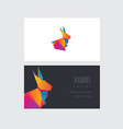 company business card template vector image