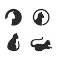 cat logo vector image vector image