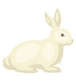 cute easter bunny cartoon rabbit vector image