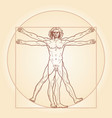 The Vitruvian Man vector image