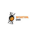 basketball dna helix gen logo with basket ball vector image