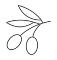 olives thin line icon vegetable and oil vector image