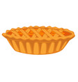 pumpkin open top pie isolated dish vegetable vector image
