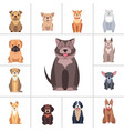 cute purebred dogs cartoon flat icons set vector image vector image
